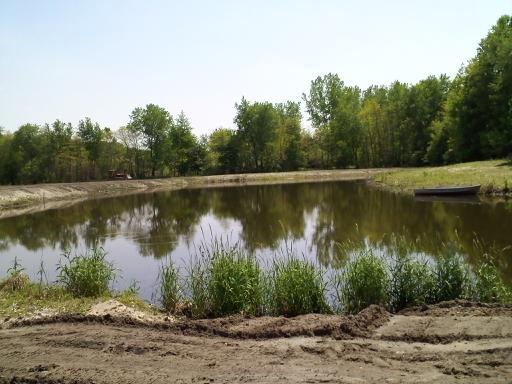 Attached picture pond4.jpg
