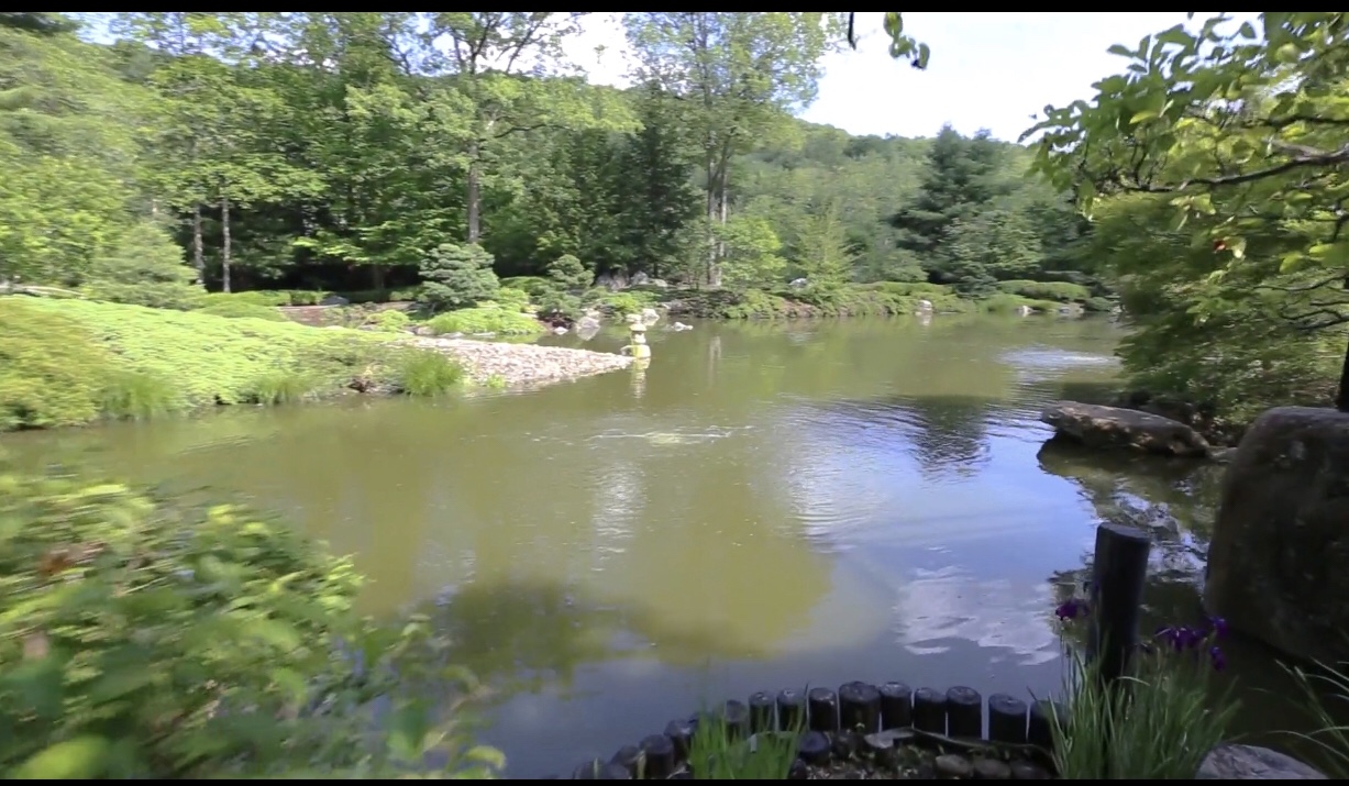 Attached picture pond1.jpg