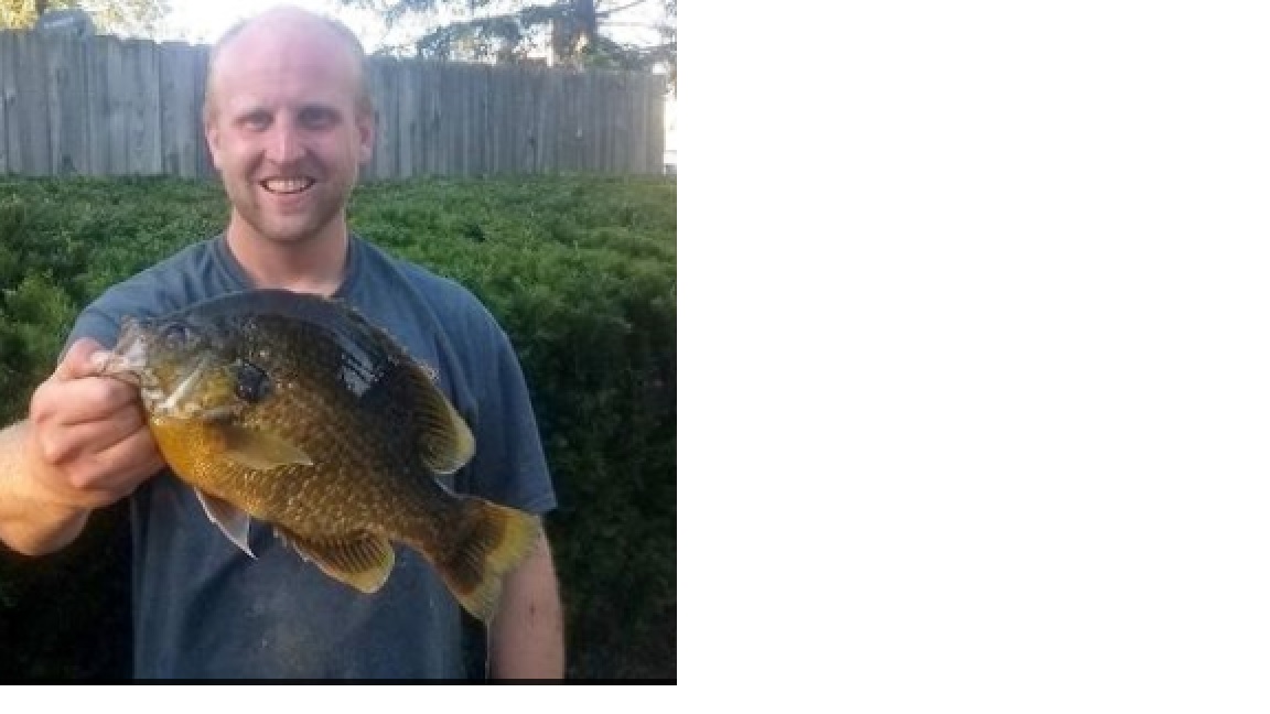 New Michigan 'hybrid sunfish' record - Pond Boss Forum