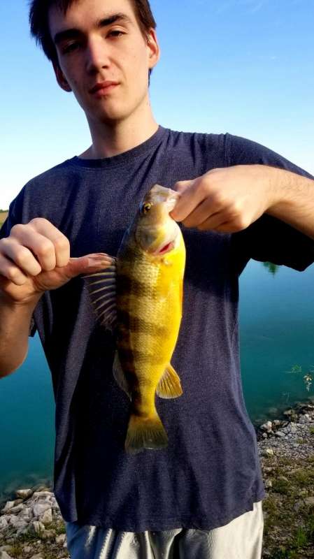 Attached picture 14perch.jpg