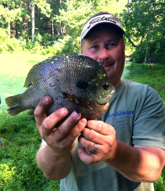 Attached picture Bluegill.1.jpg