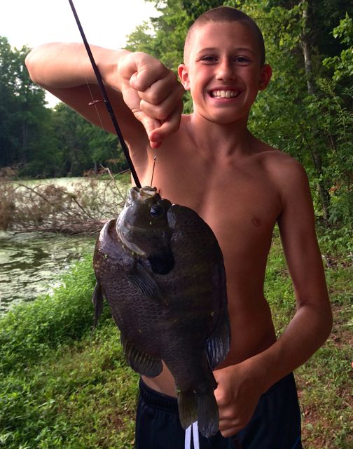 Attached picture Bluegill.Jack.jpg