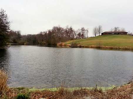 Attached picture pond2.jpg