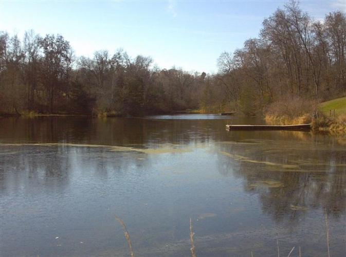 Attached picture Pond.jpg