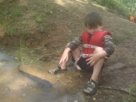 IMG00378.jpg