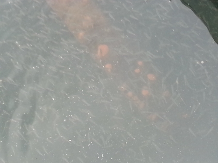 20130615_181743%282%29.jpg