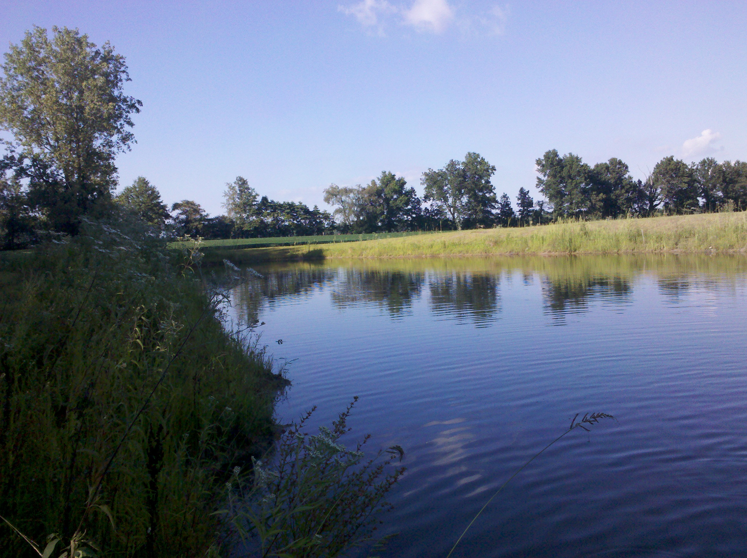 Attached picture pond_1.jpg