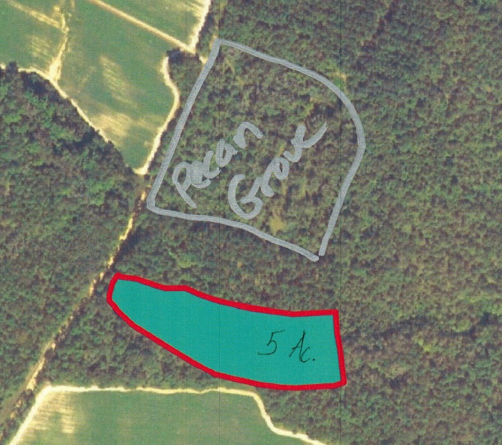 Attached picture Potential Pond Site.jpg