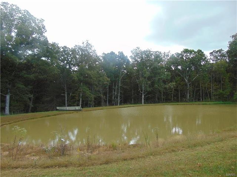 Attached picture pond.jpg