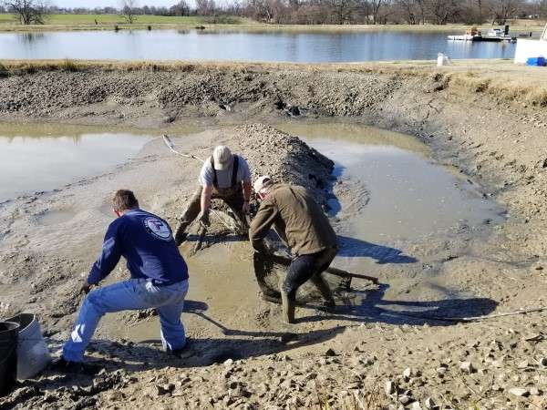 [Linked Image from forums.pondboss.com]