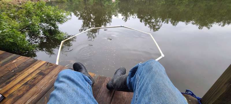 [Linked Image from forums.pondboss.com]
