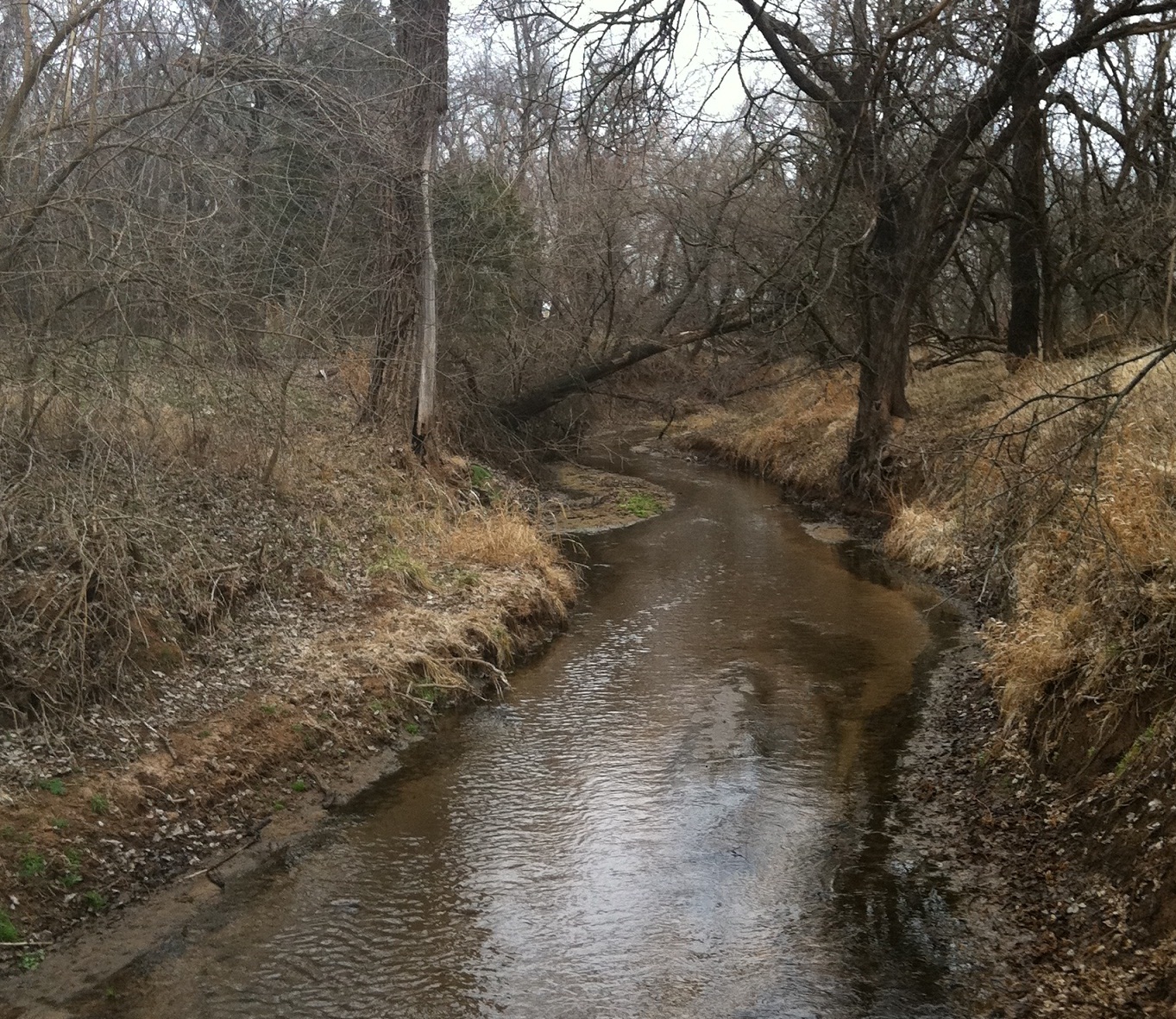 Attached picture creek pb.jpg