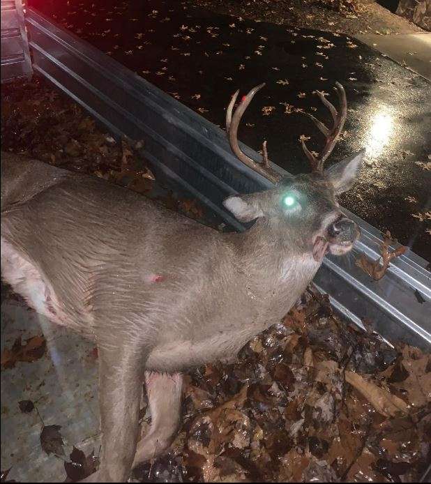 [Linked Image]