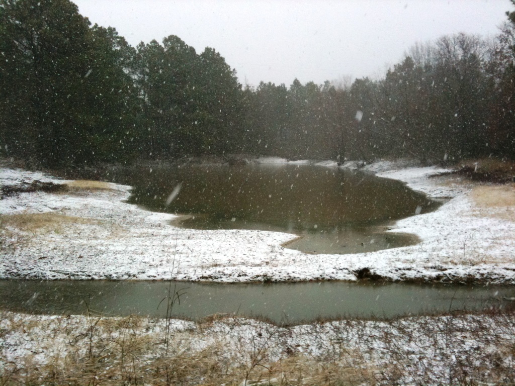 Attached picture Pond in snow2a.jpg