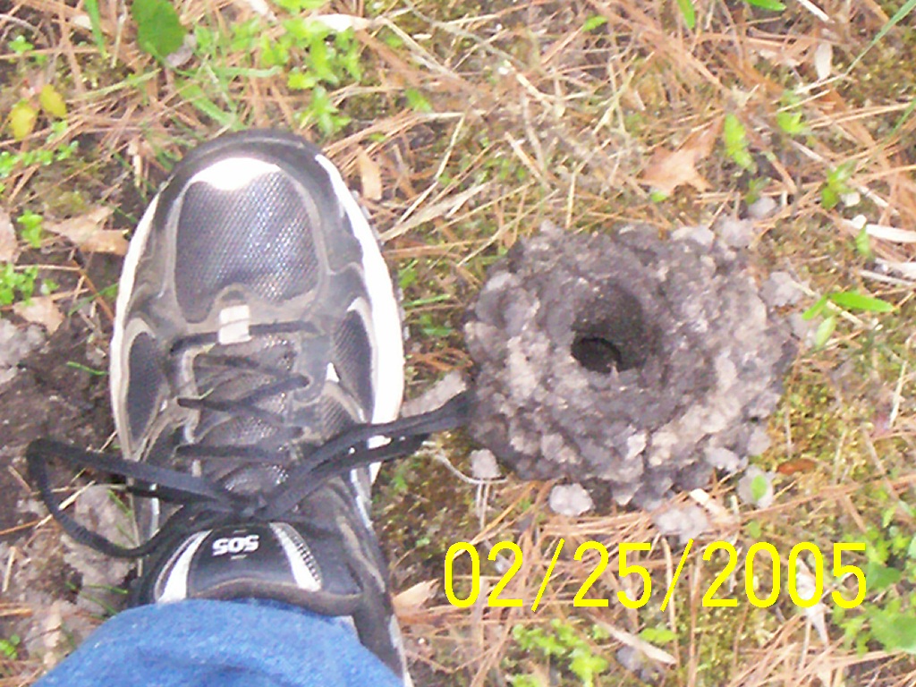 Attached picture wisc 5-30-10 HOLE.jpg