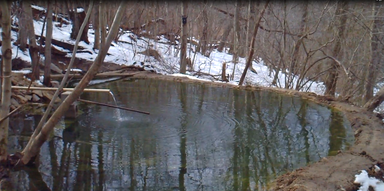 Attached picture pond pic.PNG