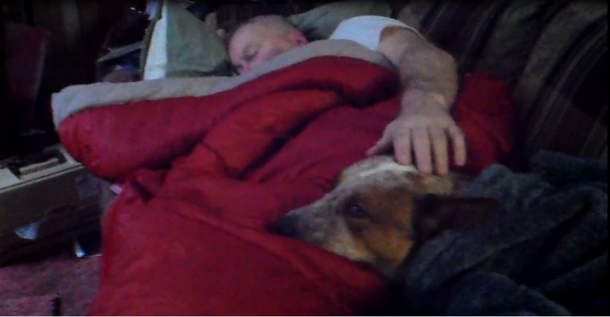 Attached picture lazy dog, and clint.PNG