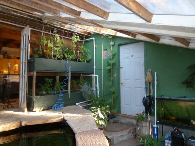 October-17th-2015-aquaponics-system-photos-8AM-sunlight-north-grow-beds.JPG