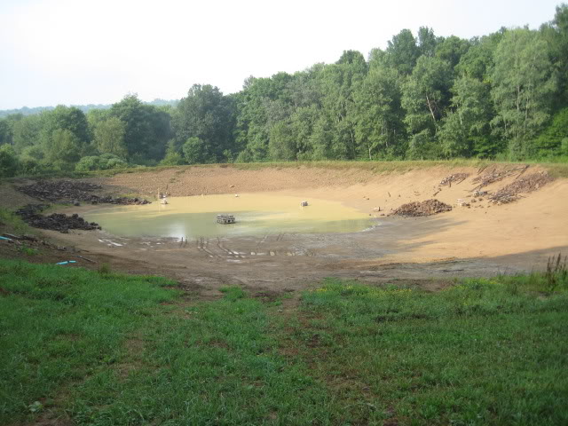 Attached picture pond6.jpg