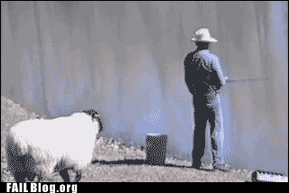 Attached picture gif-fishing-fail-475631.gif.cf.gif