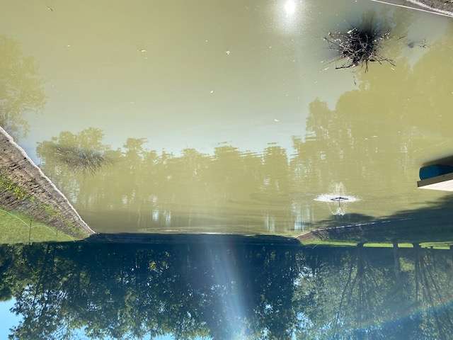 Attached picture pond_water.jpg